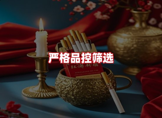 专业团队